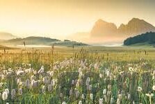 91麻豆免费免费国产观看-观影新体验，解锁91麻豆国片独特魅力