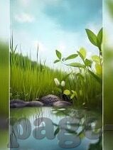 成人性欧美视频免费-成人性欧美视频，探索文化与娱乐的边界