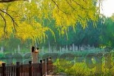 动漫人妻-动漫中的人妻角色，爱与成长的温柔港湾