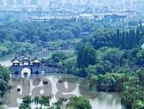 国产麻豆精品传媒av国产下载-国产麻豆精品传媒，背后的故事与选择