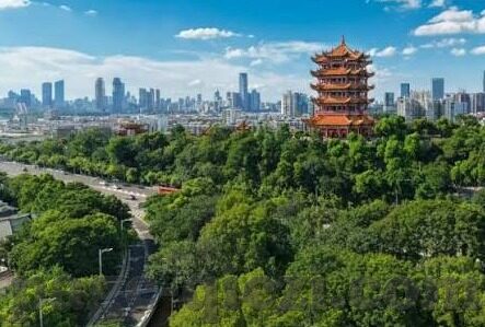 国产麻豆 视频-国产麻豆，网络内容多元化下的独特文化视角