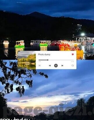 麻豆91网在线观看-解锁网络新奇趣，麻豆91网的流连忘返