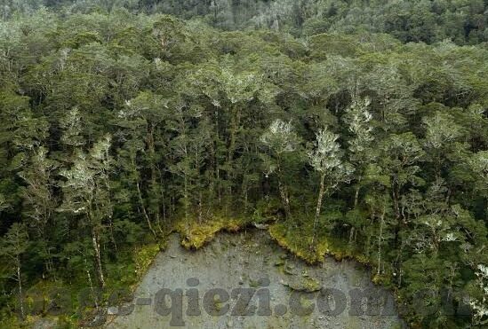 麻豆av天堂一区二区香蕉-范文，领略网络世界的多样色彩——麻豆AV天堂一区、二区的视觉盛宴探索