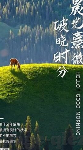 日本麻豆视频-如何鉴别网络信息的真实性和素养