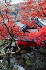 亚洲日韩在线中文字幕综合-亚洲日韩影视文化的多元魅力，日韩在线中文字幕综合的观赏体验